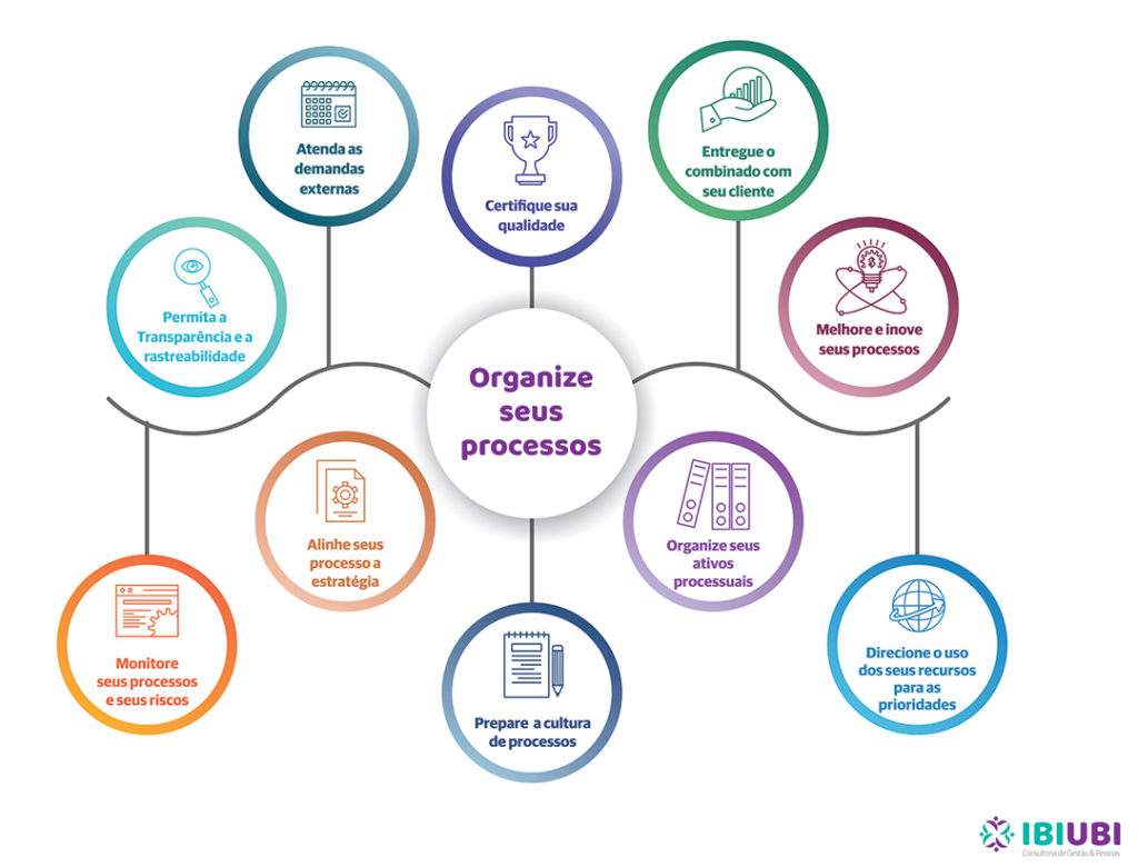 infografico-organize-processo